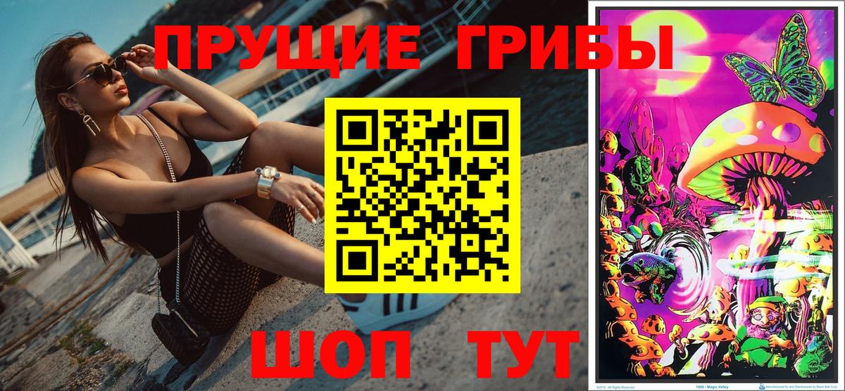 Псилоцибиновые грибы мицелий Нефтекумск