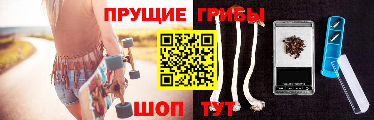 Нефтекумск  Псилоцибиновые грибы Psilocybine cubensis  Галлюциногенные грибы мицелий  Вход с VPN 