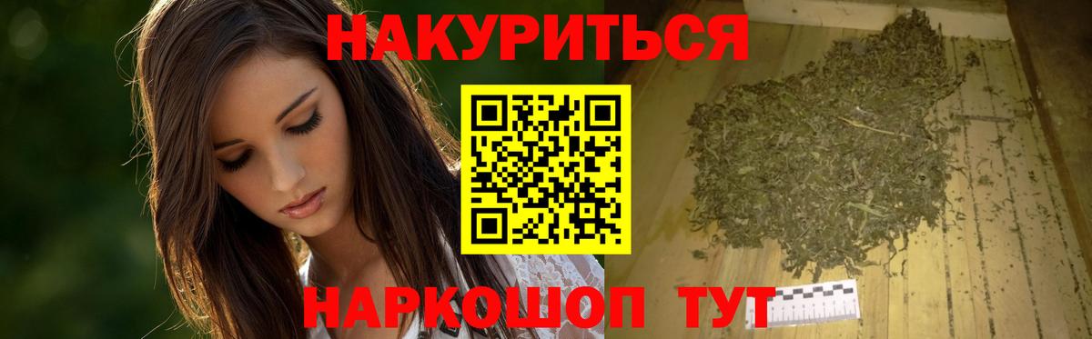 Бошки марихуана сатива Нефтекумск
